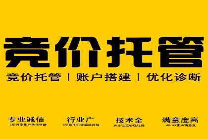 百度竞价推广与SEO结合的策略——以某科技公司为例